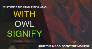 Unraveling the Mystery of Vanitas with Owl and Candle