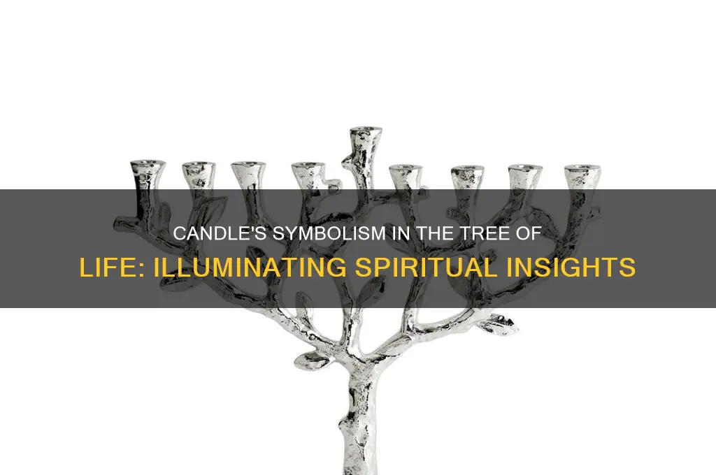 what does the candle mean in the tree of life