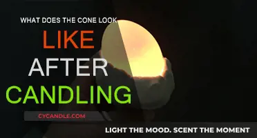 The Cone's Intriguing Appearance Post-Candling