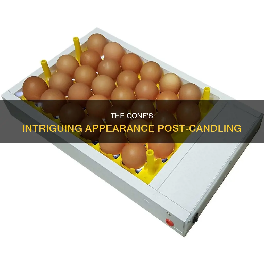 what does the cone look like after candling