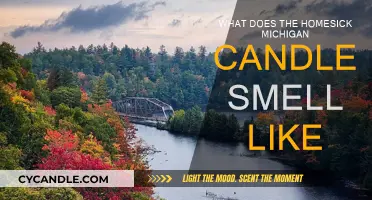 The Homesick Michigan Candle: What Scents Does It Evoke?