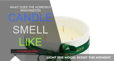 Washington Candle: Homesick Scent Review