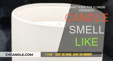 Illinois Homesick Candle: What Scents Evoke Prairie State?