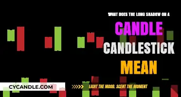 Decoding the Long Shadow: Insights into Candlestick Patterns and Trends