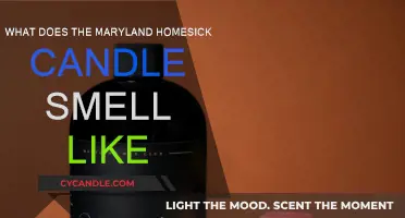 Maryland Homesick Candle: What Scents Evoke Home?