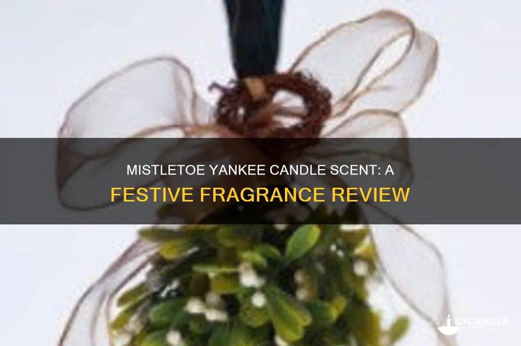 what does the mistletoe yankee candle smell like