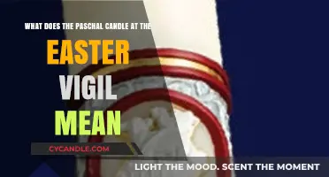 The Paschal Candle's Symbolic Light at Easter Vigil Explained