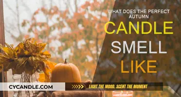 The Ultimate Autumn Candle: What's the Perfect Scent?