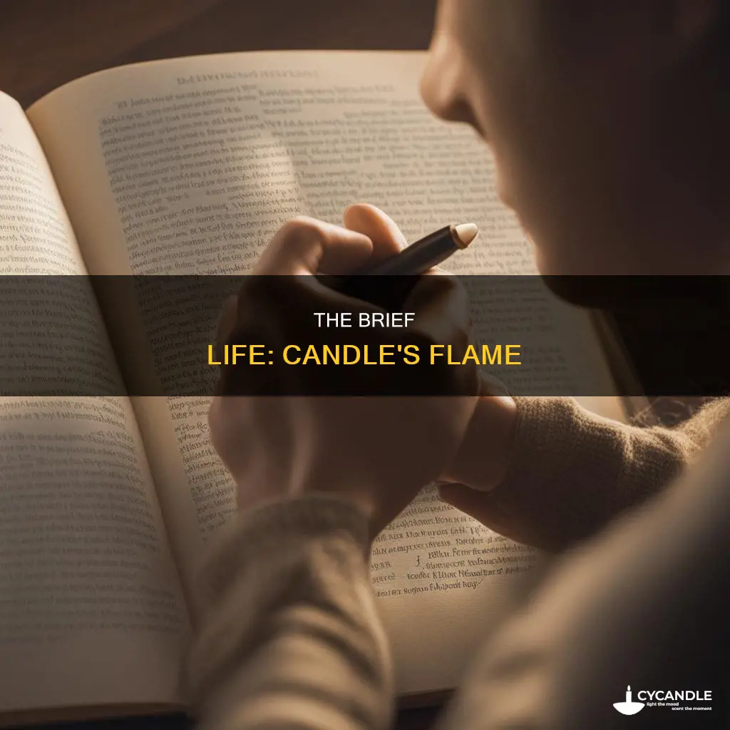 what does the phrase brief candle refer to openstudy