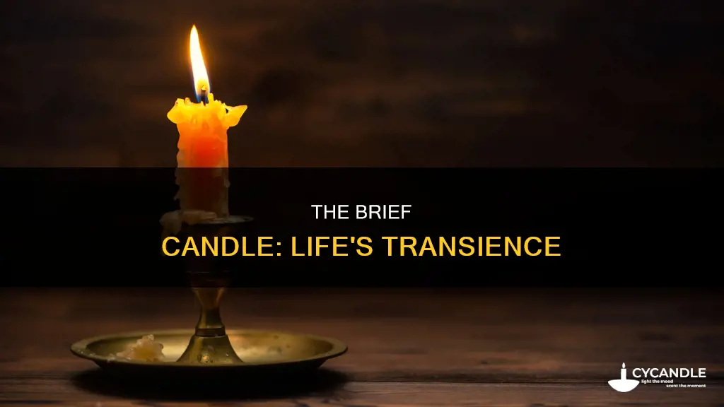 what does the phrase brief candle refer to