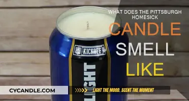 Pittsburgh Homesick Candle: A Fragrance of Steel City Memories