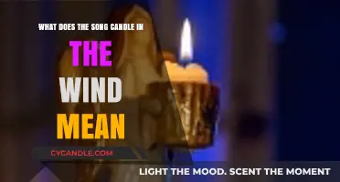 Candle in the Wind: Unraveling the Poignant Meaning Behind the Lyrics