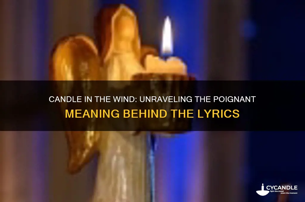 what does the song candle in the wind mean