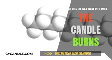 Candle Chemistry: Wax Reactions During Combustion Explained