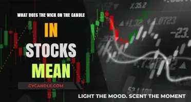 Understanding the Wick: Decoding Stock Market Candlestick Patterns