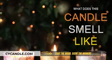 Scents and Sensibility: What Does This Candle Smell Like?