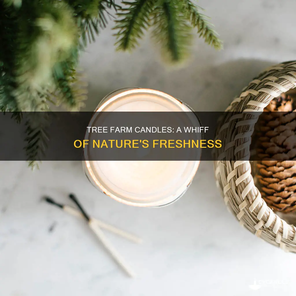 what does tree farm candle smell like