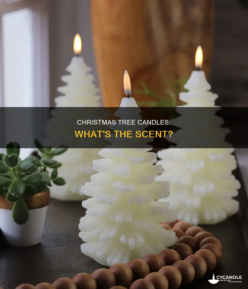 what does under the christmas tree candle smell like