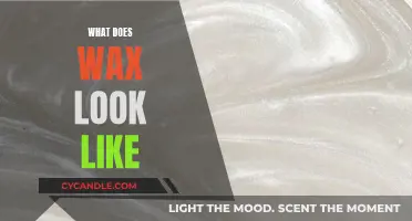 Exploring the Visual Texture: What Does Wax Look Like?