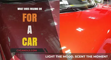 Revitalize Your Ride: The Transformative Power of Car Waxing