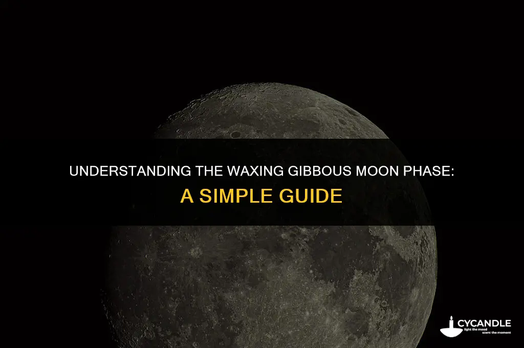 what does waxing gibbous mean