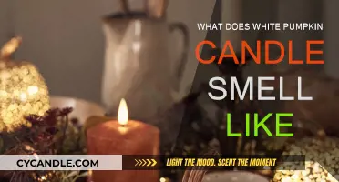The White Pumpkin Candle: A Fragrance Experience