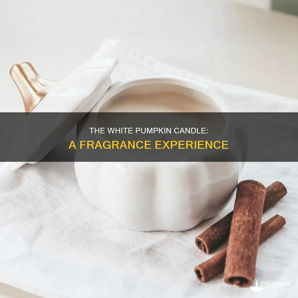 what does white pumpkin candle smell like