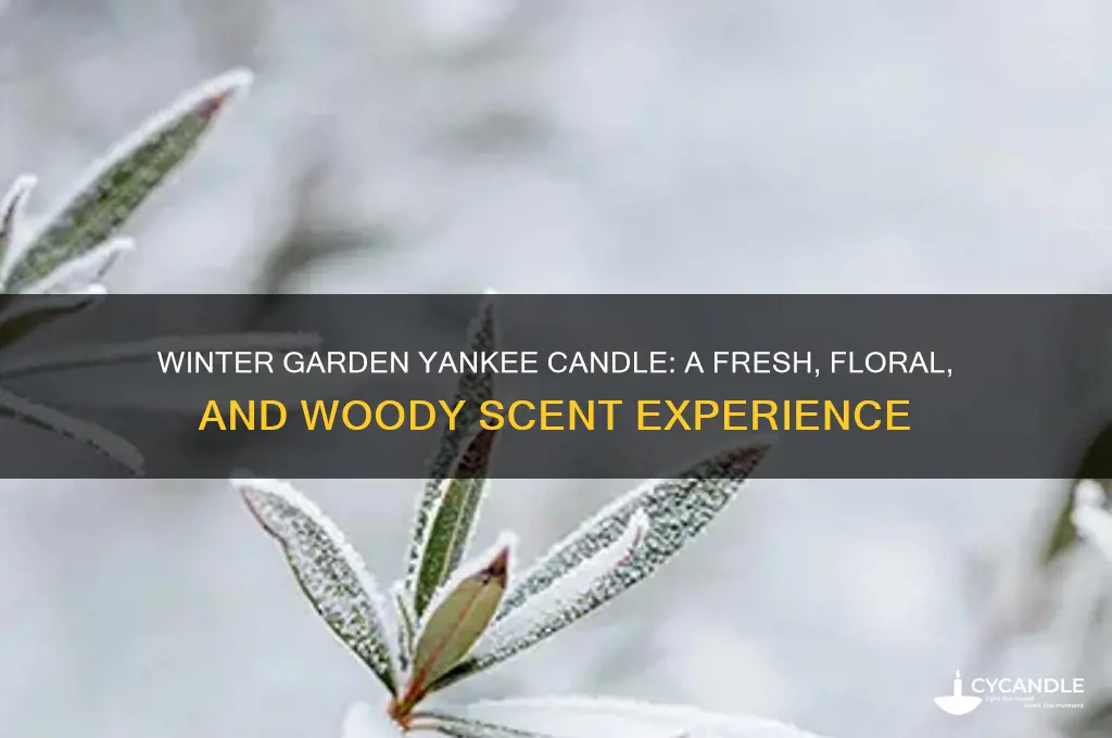 what does winter garden yankee candle smell like