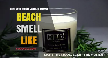 Bermuda Beach Yankee Candle: A Tropical Scent Review and Experience