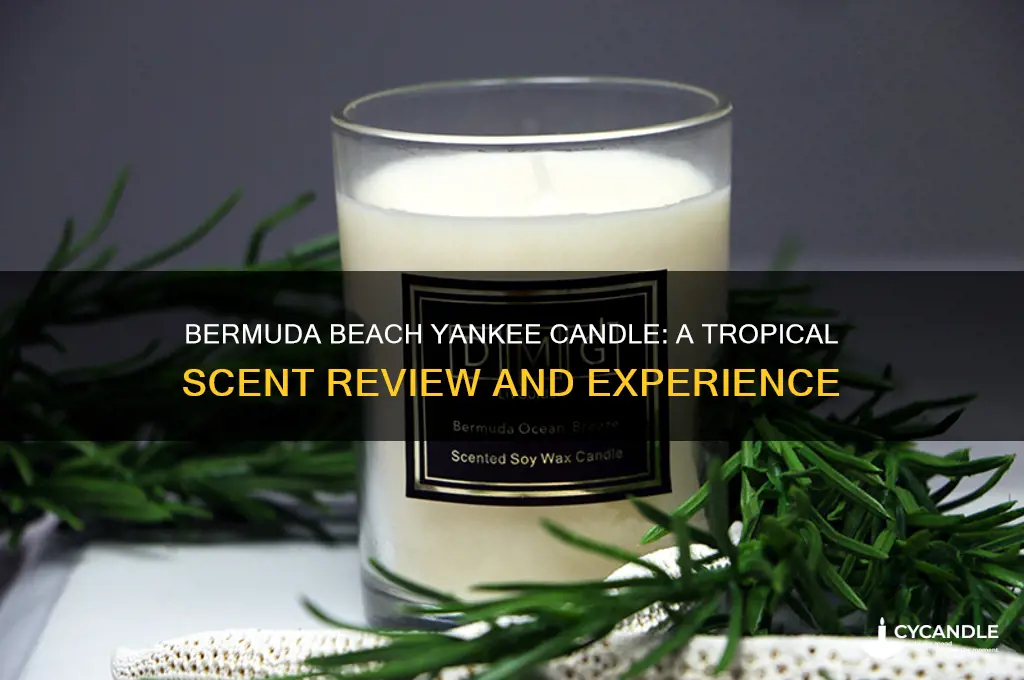 what does yankee candle bermuda beach smell like