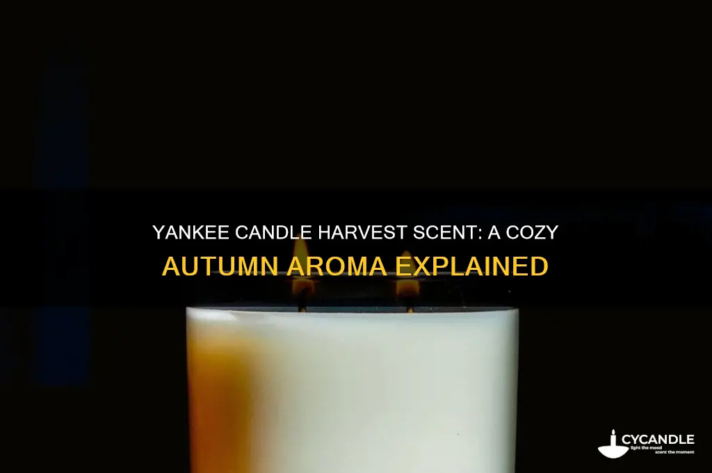 what does yankee candle harvest smell like