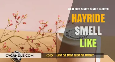 Yankee Candle Haunted Hayride Scent: A Spooky Autumn Aroma Review