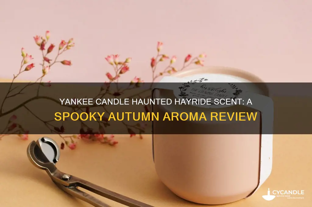 what does yankee candle haunted hayride smell like