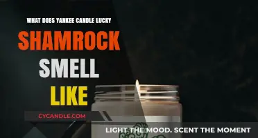 Yankee Candle Lucky Shamrock Scent Review: Fresh, Green, and Invigorating