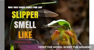 Yankee Candle Pink Lady Slipper: Unveiling Its Enchanting Floral Fragrance