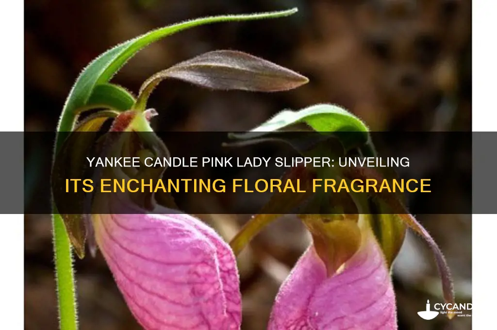 what does yankee candle pink lady slipper smell like