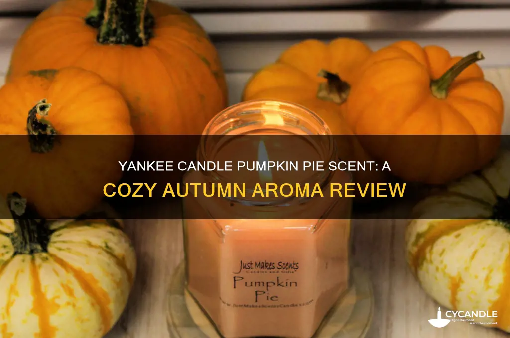 what does yankee candle pumpkin pie smell like