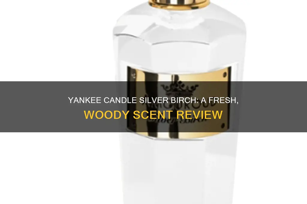 what does yankee candle silver birch smell like