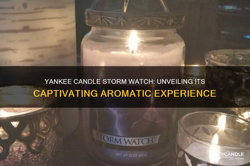 what does yankee candle storm watch smell like