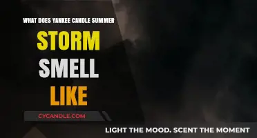 Yankee Candle Summer Storm Scent: A Fresh, Rainy Day Aroma