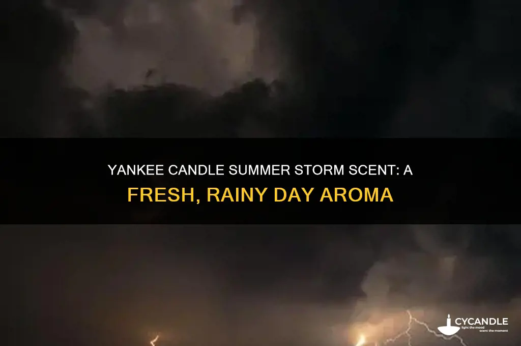 what does yankee candle summer storm smell like