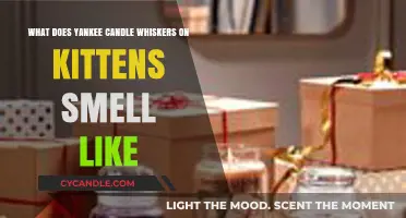 Whiskers on Kittens Yankee Candle: A Cozy Scent Review