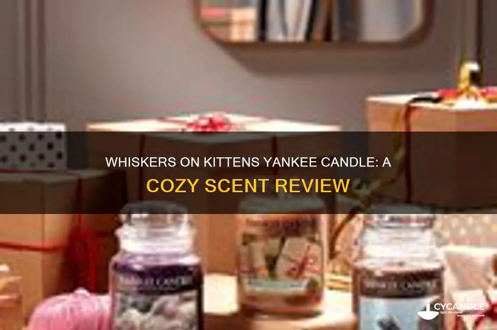 what does yankee candle whiskers on kittens smell like