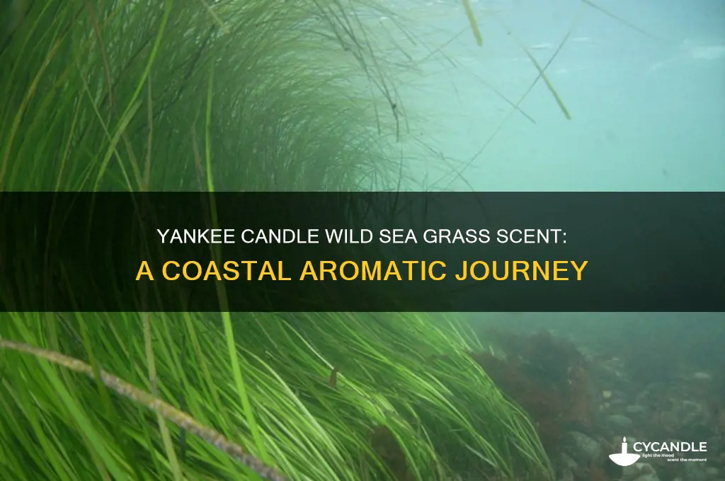 what does yankee candle wild sea grass smell like