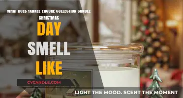 Yankee Encore Collection Christmas Day Candle Scent Review