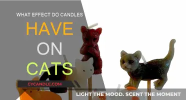Candles and Cats: A Safe Combination?