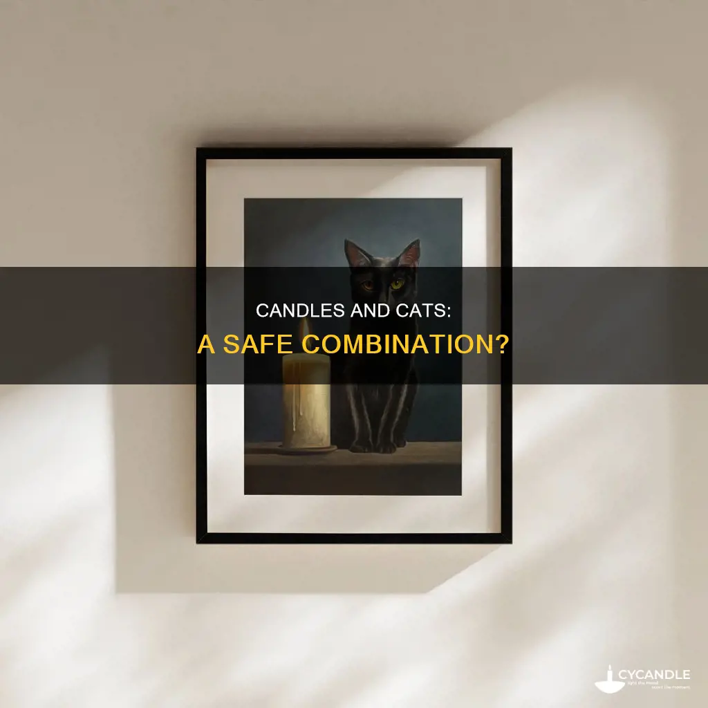 what effect do candles have on cats
