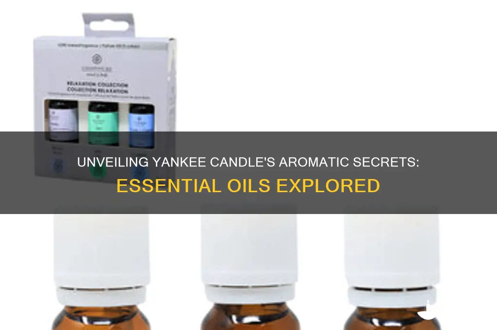 what essential oils does yankee candle use