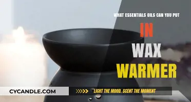 Best Essential Oils to Use in Your Wax Warmer for Aromatherapy
