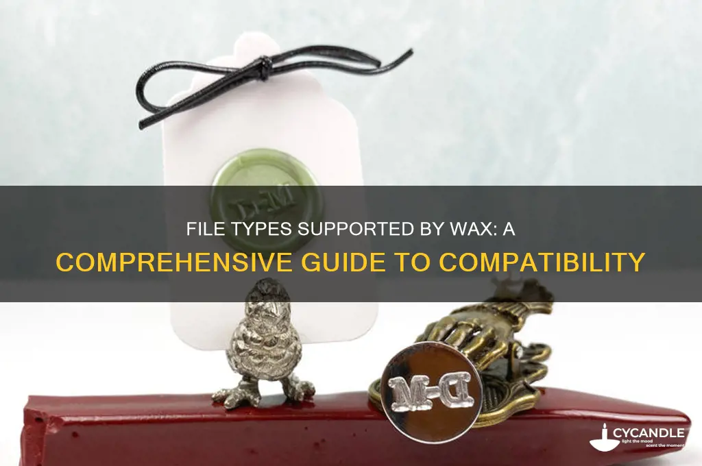 what file types can wax open